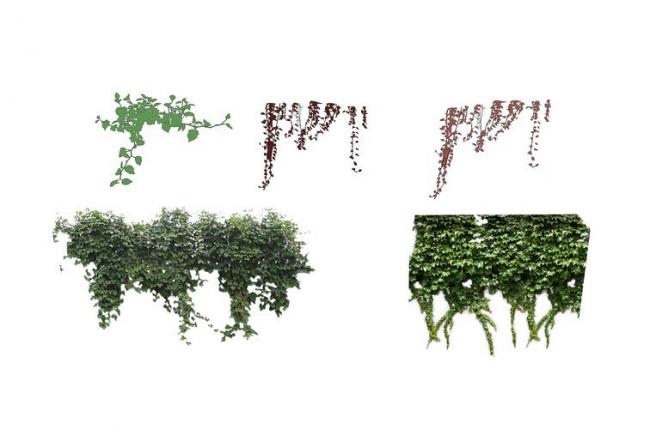 Sketchup素材模型|爬藤，灌木植物，景观素材组件