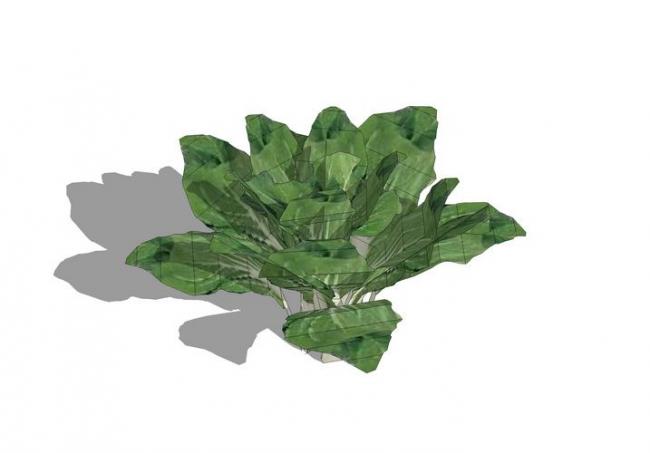 Sketchup素材模型|蔬菜景观素材组件