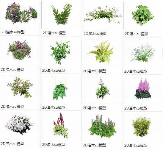 Sketchup素材模型|2d植物灌木花草，景观素材组件