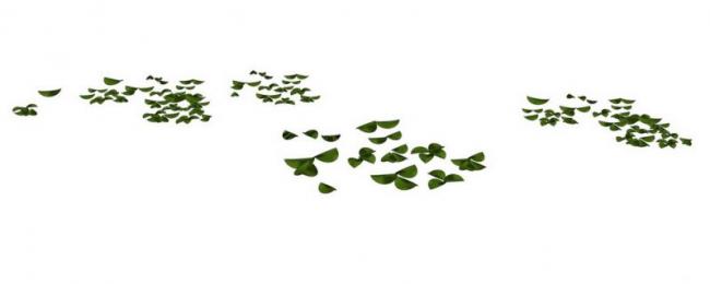 Sketchup素材模型|小片落叶景观素材组件