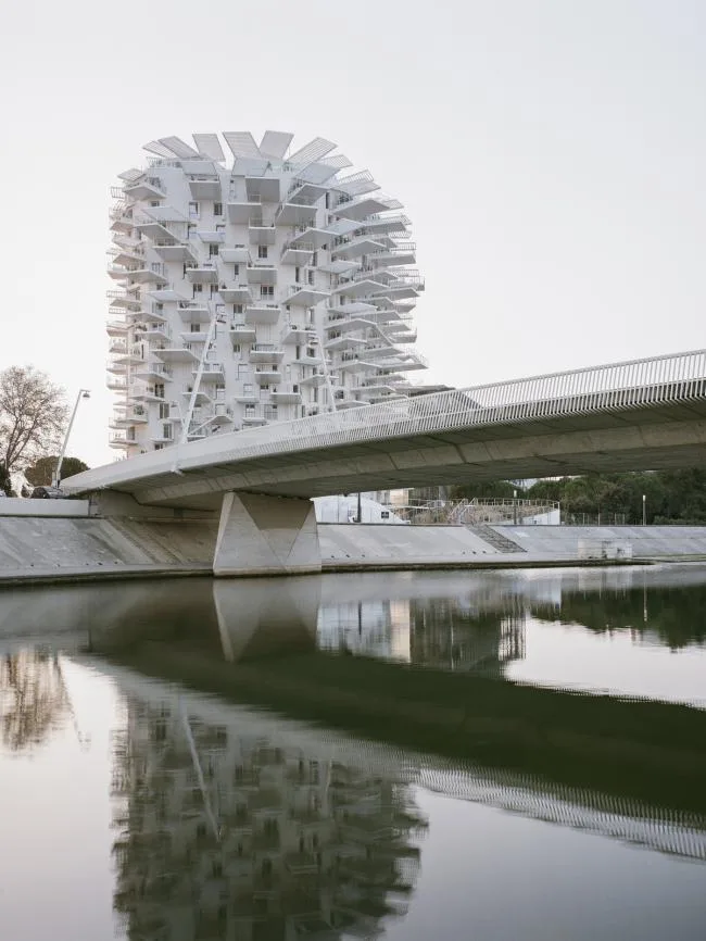 BIM建筑|枝叶四散，挺立耸立的白色树塔公寓 / 藤本壮介等