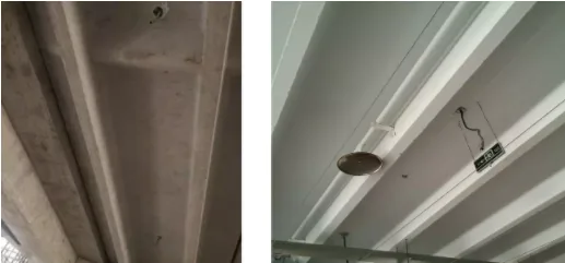 BIM与装配式|双T板技术在上海某小学项目中的应用