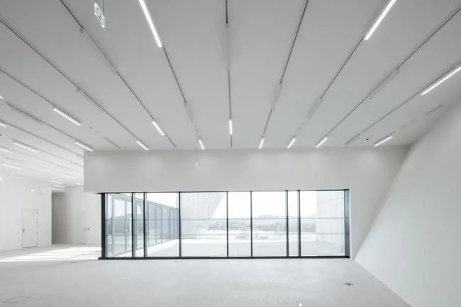 BIM建筑|风中芭蕾，奥地利州立美术馆 / Marte.Marte Architects