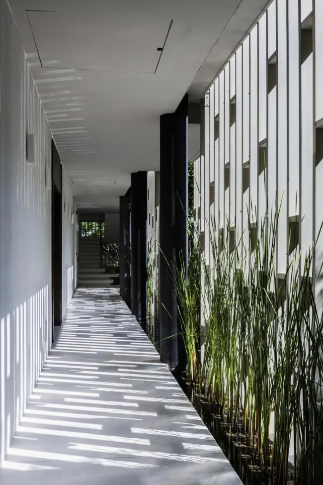 BIM建筑|千寻丛林瀑布倾注而下的光影空间：Naman 温泉会所 / MIA Design Studio