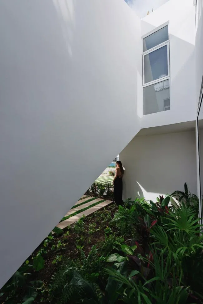 BIM建筑|索纳塔室第，应用楼梯打造交叉的公共及私家空间 / Arkham Projects