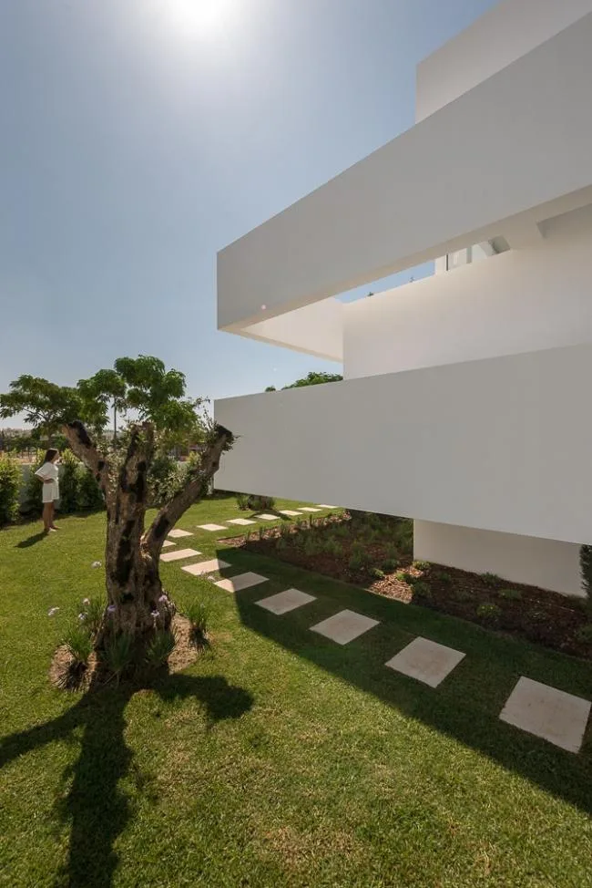 BIM建筑|五个平台和一个花圃 / corpo atelier