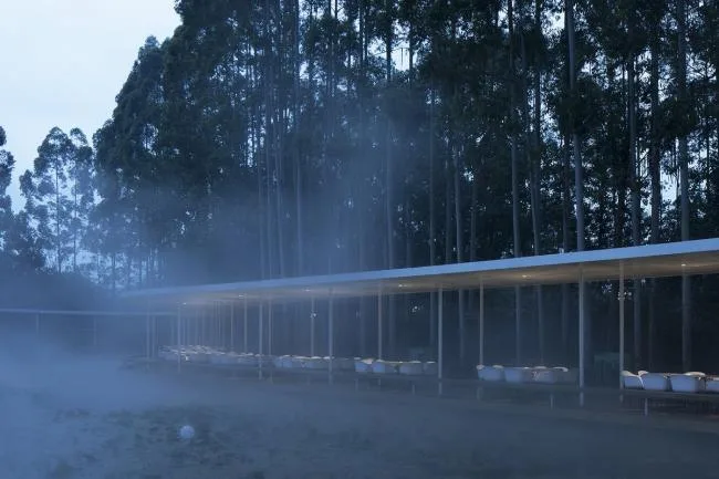 BIM建筑|云雾氤氲，丝带超脱：云镜 · 花圃暖锅餐厅 / 慕达建筑