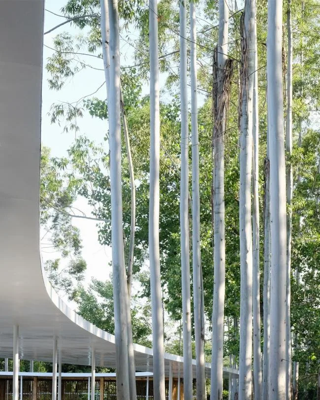 BIM建筑|云雾氤氲，丝带超脱：云镜 · 花圃暖锅餐厅 / 慕达建筑