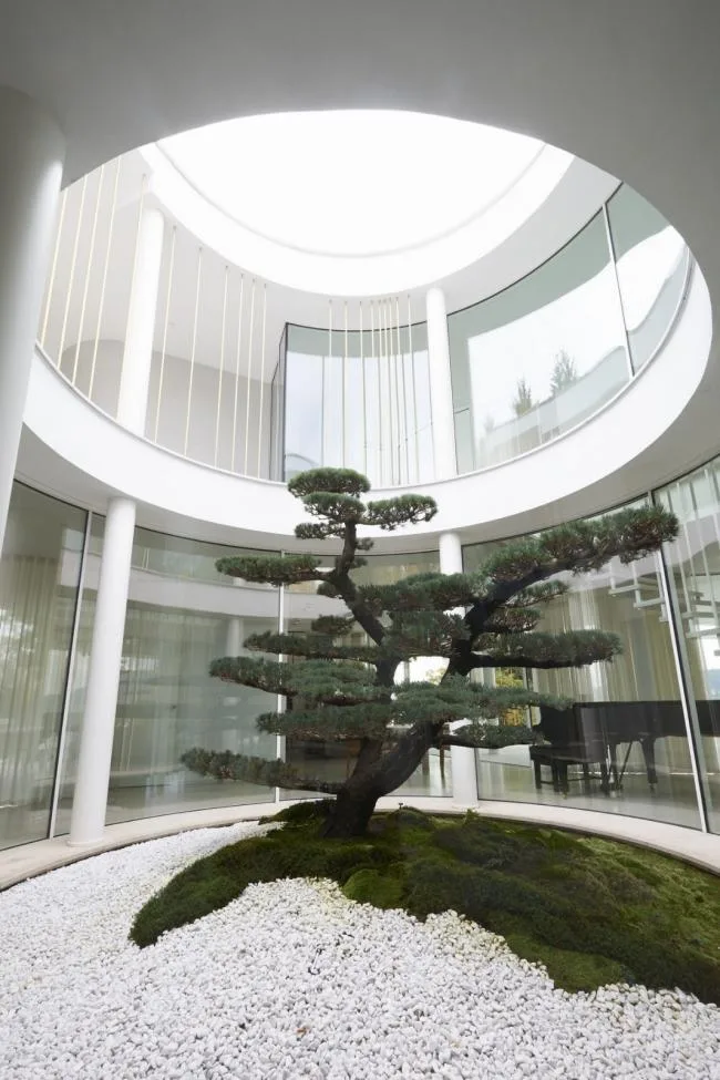 BIM建筑|湖边绽开的白色花瓣：意年夜利滨湖度假屋 / Design Haus Liberty