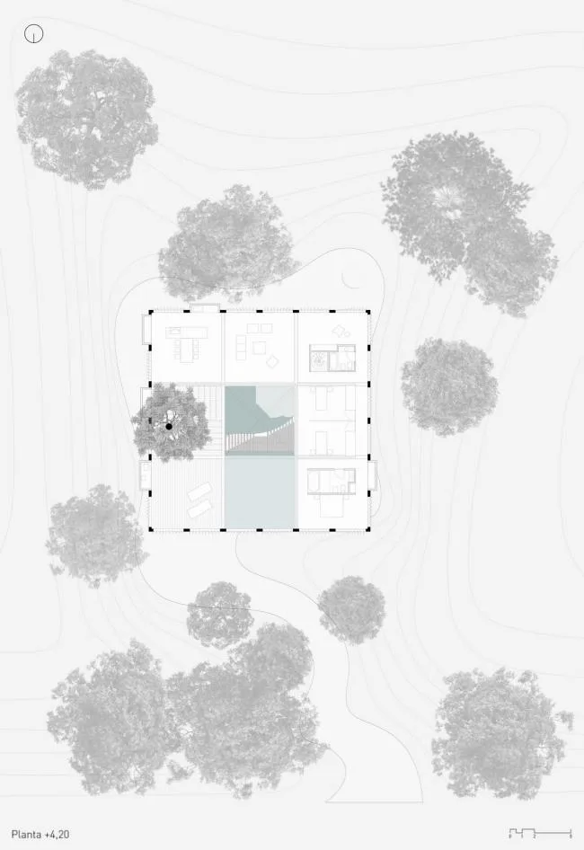 BIM建筑|与年夜树枝桠握手，混凝土打造的朴实之家 / Estudio Botteri-Connell