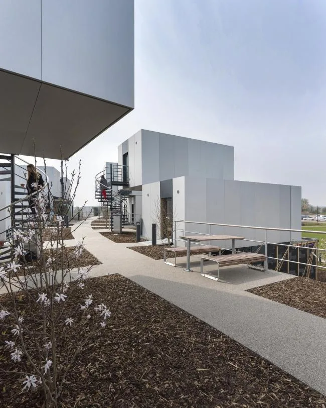 BIM建筑|如企鹅般蜂拥瞭看：戴森工程技巧学院 / WilkinsonEyre