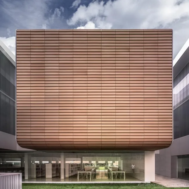 BIM建筑|如小伴侣般整洁排队：教师培训中间 / Ramón Fernández-Alonso