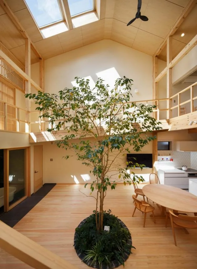 BIM建筑|京都之宅，将天井搬进家里 / 07BEACH