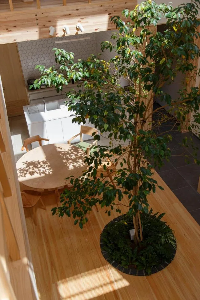 BIM建筑|京都之宅，将天井搬进家里 / 07BEACH