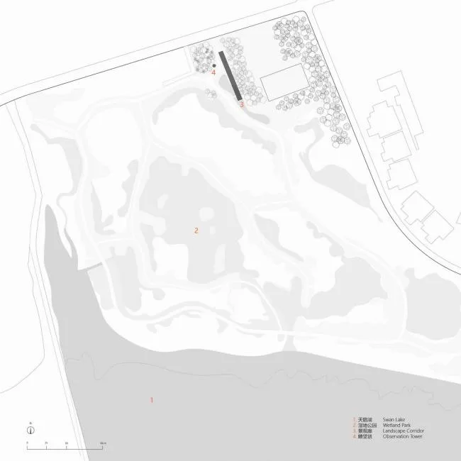 BIM建筑|天鹅湖湿地公园景不雅廊及不雅鸟塔 / 迹·建筑事务所