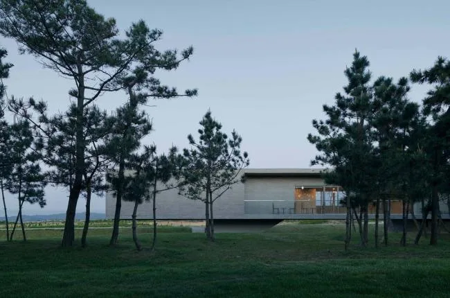 BIM建筑|天鹅湖湿地公园景不雅廊及不雅鸟塔 / 迹·建筑事务所