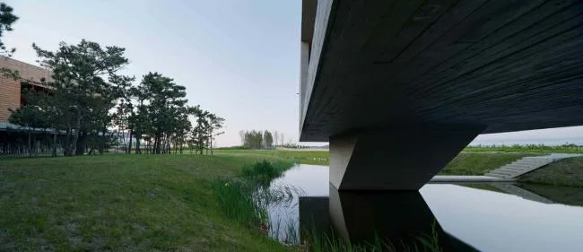 BIM建筑|天鹅湖湿地公园景不雅廊及不雅鸟塔 / 迹·建筑事务所