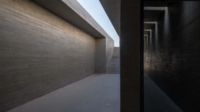 BIM建筑|天鹅湖湿地公园景不雅廊及不雅鸟塔 / 迹·建筑事务所