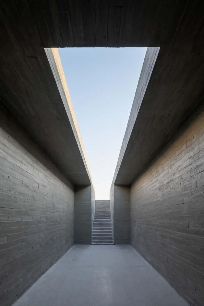 BIM建筑|天鹅湖湿地公园景不雅廊及不雅鸟塔 / 迹·建筑事务所