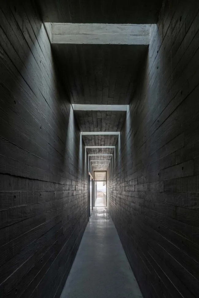 BIM建筑|天鹅湖湿地公园景不雅廊及不雅鸟塔 / 迹·建筑事务所
