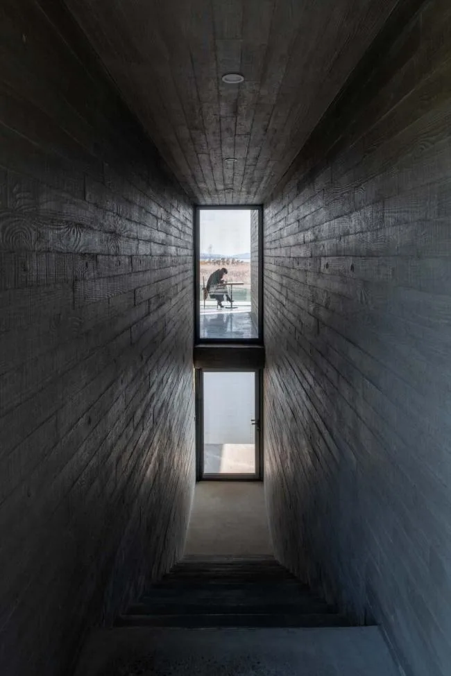 BIM建筑|天鹅湖湿地公园景不雅廊及不雅鸟塔 / 迹·建筑事务所