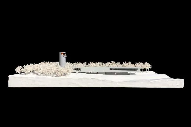 BIM建筑|天鹅湖湿地公园景不雅廊及不雅鸟塔 / 迹·建筑事务所
