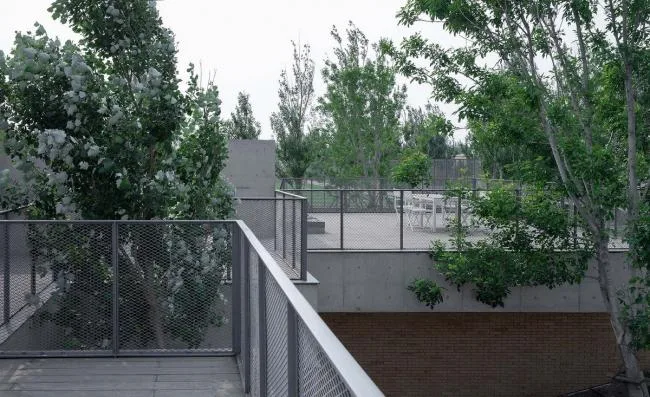 BIM建筑|海边 y 餐厅 / 直向建筑