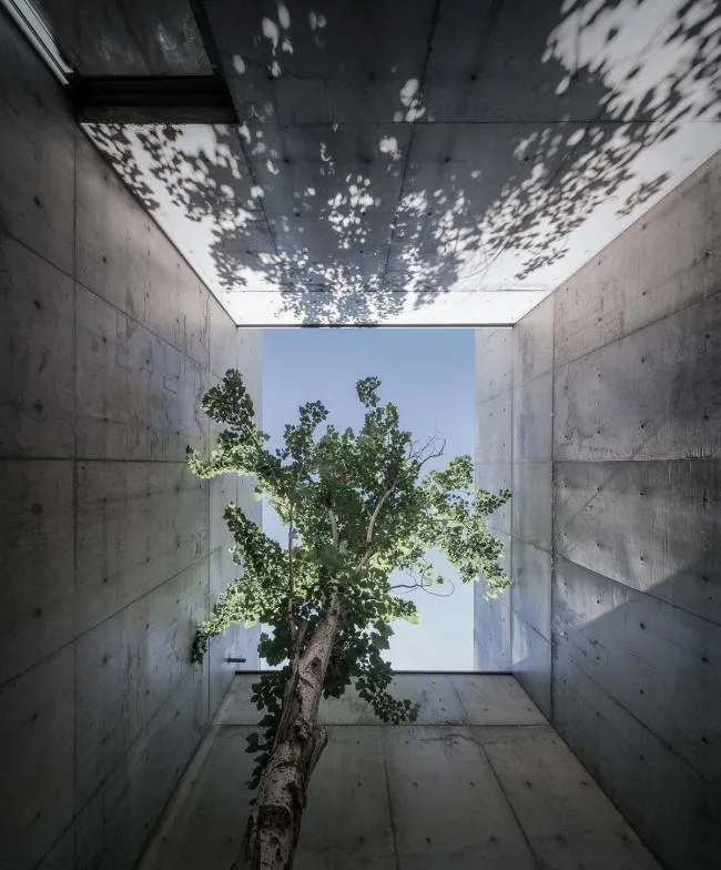 BIM建筑|海边 y 餐厅 / 直向建筑