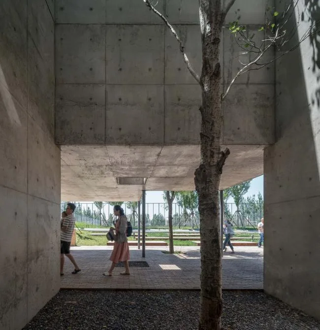 BIM建筑|海边 y 餐厅 / 直向建筑