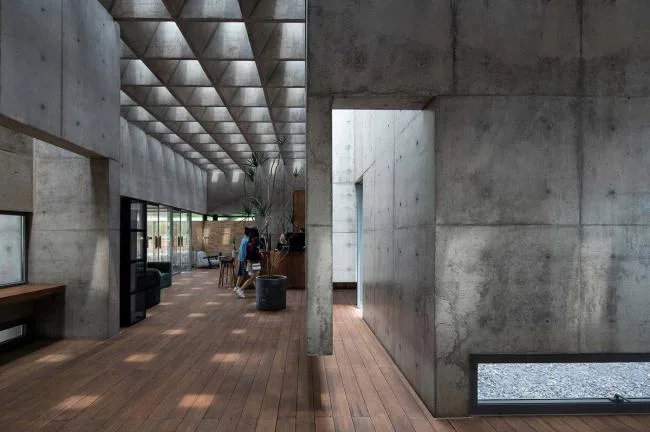BIM建筑|海边 y 餐厅 / 直向建筑