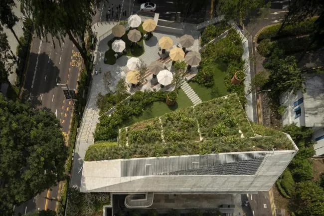 BIM建筑|郁郁葱葱的城市花圃：Design Orchard 孵化器 / WOHA