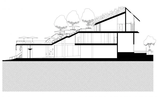 BIM建筑|郁郁葱葱的城市花圃：Design Orchard 孵化器 / WOHA