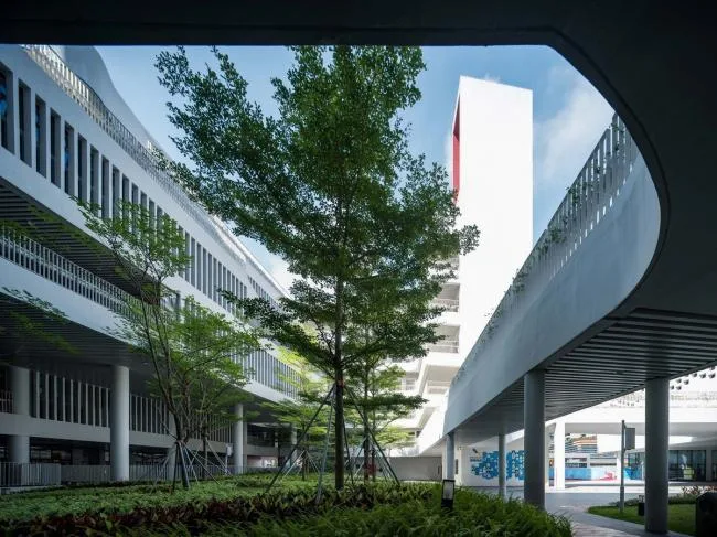 BIM建筑|深圳前海三小 (荔湾小学) / 深圳年夜学建筑设计研讨院·元本体工作室