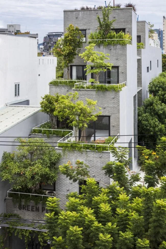 BIM建筑|安静葱茏，错落有致的梯田天台：越南花圃公寓 / Ho Khue Architects