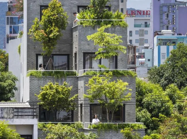 BIM建筑|安静葱茏，错落有致的梯田天台：越南花圃公寓 / Ho Khue Architects