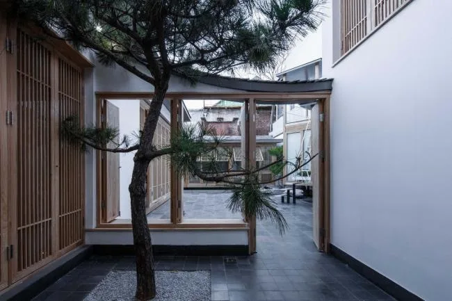 BIM建筑|层林叠浪，长亭卧波：北京繁殖小院 / 介介工作室