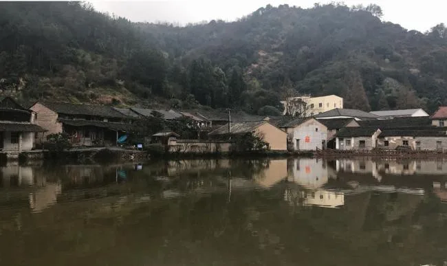 BIM建筑|剪纸艺坊&伴湖书吧 / 杭州森上建筑设计