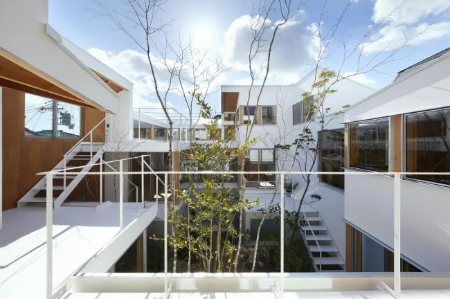 BIM建筑|城市中的山谷花圃室第 / 畑友洋建筑设计事务所