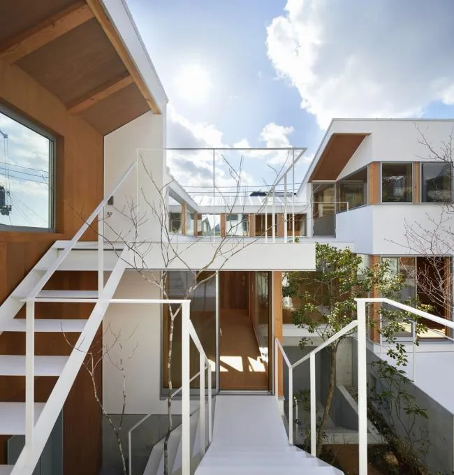 BIM建筑|城市中的山谷花圃室第 / 畑友洋建筑设计事务所