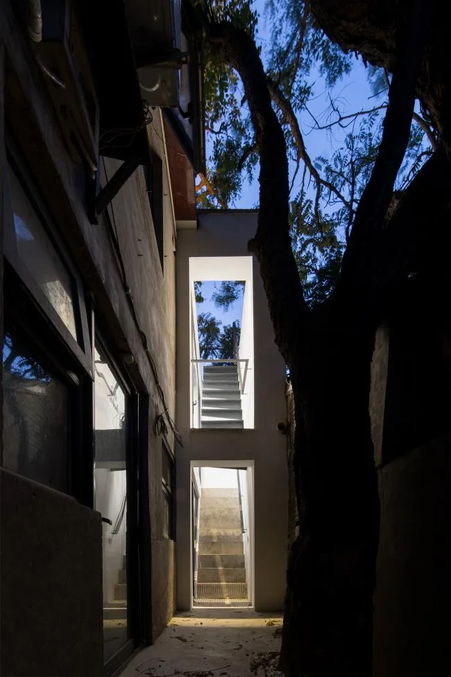 BIM建筑|樹院 / 兼建筑