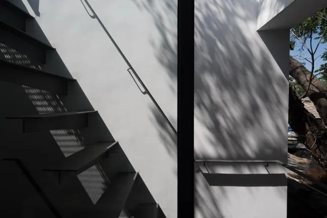 BIM建筑|樹院 / 兼建筑