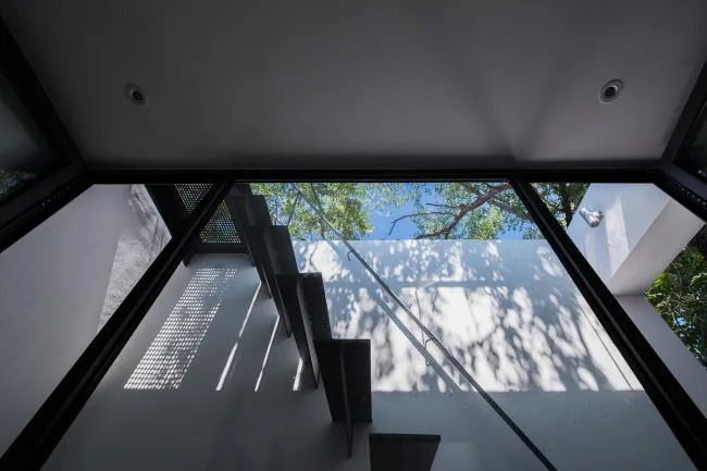 BIM建筑|樹院 / 兼建筑