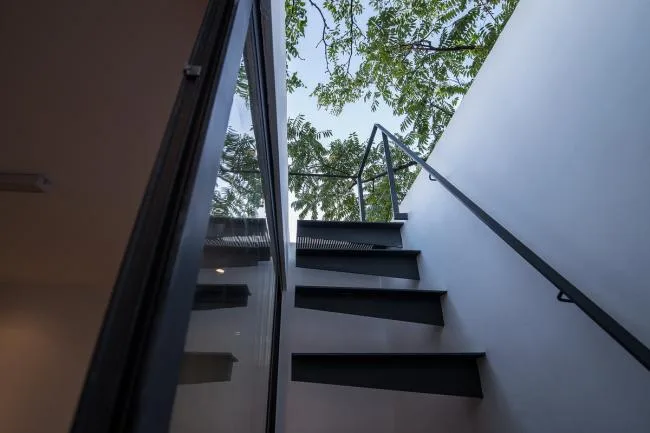 BIM建筑|樹院 / 兼建筑
