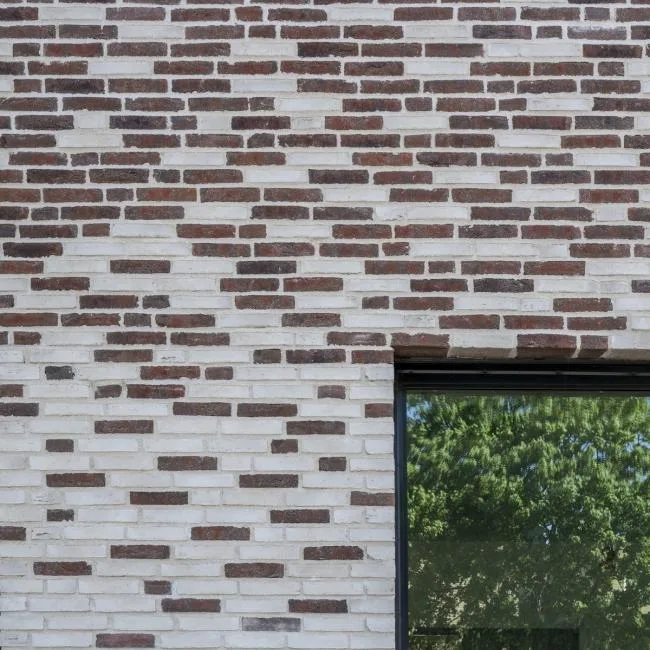 BIM建筑|保存场合记忆——Tiunda 中小黉舍 / C.F. Møller