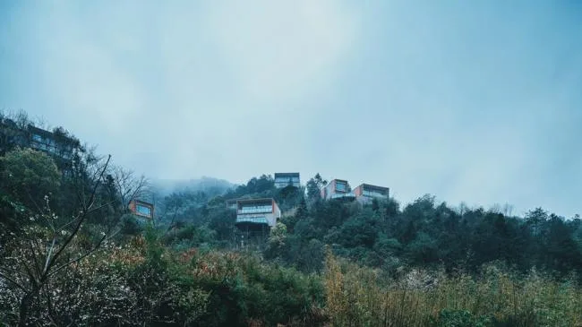 BIM建筑|郊野之际，自有炊火人世：宁海安岚 / 上海骏地建筑设计