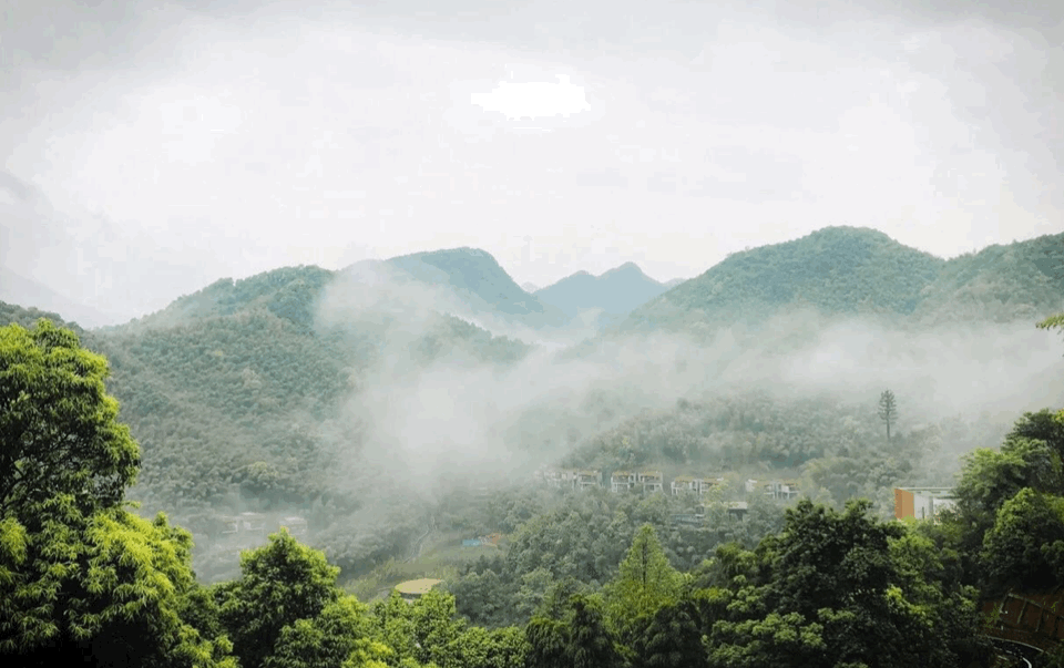 BIM建筑|郊野之际，自有炊火人世：宁海安岚 / 上海骏地建筑设计