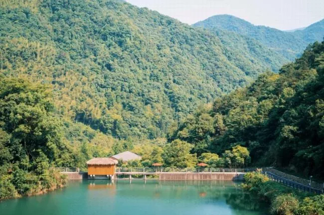 BIM建筑|郊野之际，自有炊火人世：宁海安岚 / 上海骏地建筑设计