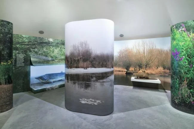 BIM建筑|湿地景不雅里的年夜地艺术雕塑：荷兰 Biesbosch 博物馆岛 / Studio Marco Vermeulen