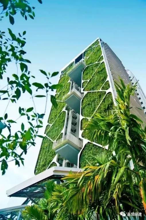 装配式研究|装配式建筑能否成为绿色建筑的引航者？