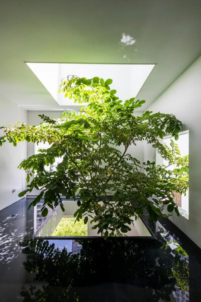 BIM建筑|天空之家，星星点点绿意营造心灵居所 / MIA Design Studio